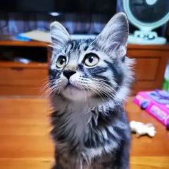 一名普通的前端，在这里记录自己的技术思考，投资学习和生活。